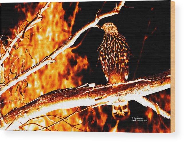 Fire Wood Print featuring the digital art Fire Hawk 0112 by James Ahn