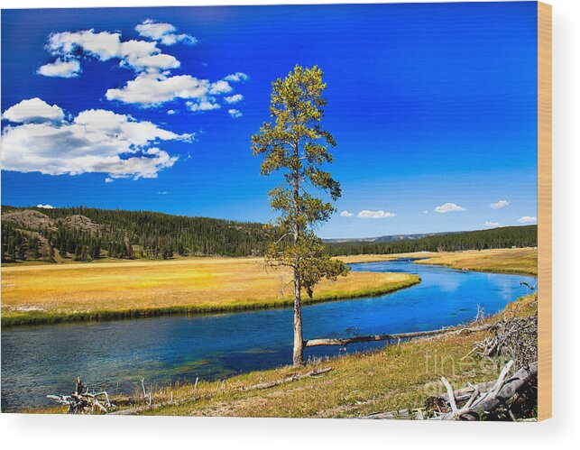 River Wood Print featuring the photograph Firehole River II by Robert Bales