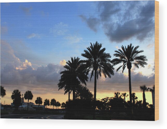 Sunset Wood Print featuring the photograph Florida Sunset by Jeanne Juhos