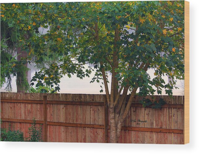 Backyard Wood Print featuring the photograph Fog In Olympia II by Jeanette C Landstrom