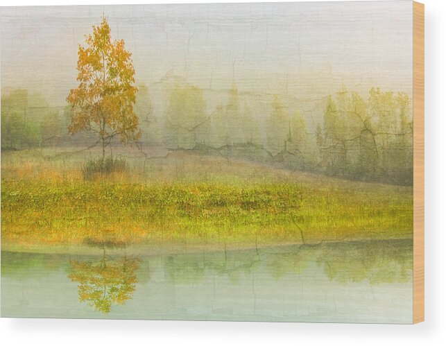 Appalachia Wood Print featuring the photograph Foggy Meadow by Debra and Dave Vanderlaan