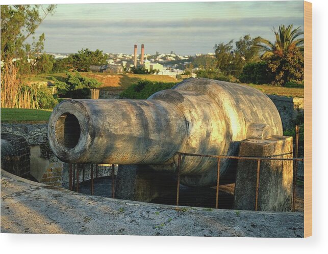 Fort Hamiltion Bermuda Wood Print featuring the photograph Fort Hamilton Cannon by Tom Singleton