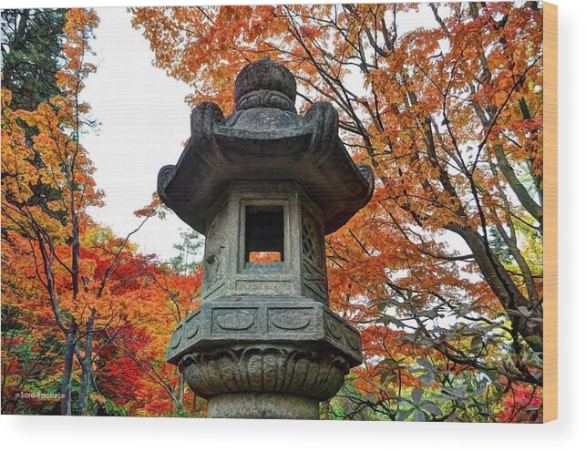 Japanese Garden Wood Print featuring the photograph Fortitude by Sarai Rachel