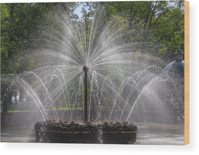 Clare Bambers Wood Print featuring the photograph Fountain Peterhof Palace St Petersburg  Russia by Clare Bambers