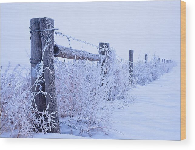 Fences Wood Print featuring the photograph Frosty Morning by Monte Stevens