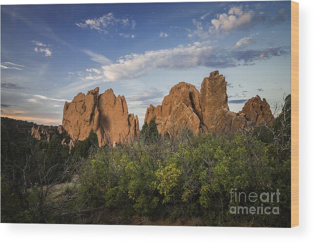 Garden Of The Gods Rock Formations Wood Print featuring the photograph Garden of the Gods Trail II by David Waldrop