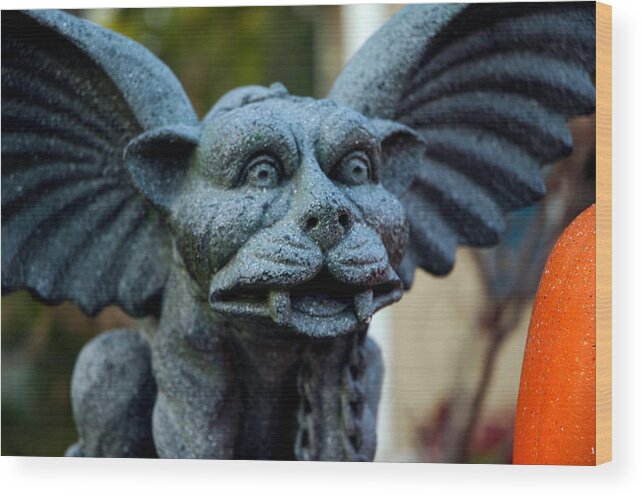 Usa Wood Print featuring the photograph Gargoyle by LeeAnn McLaneGoetz McLaneGoetzStudioLLCcom