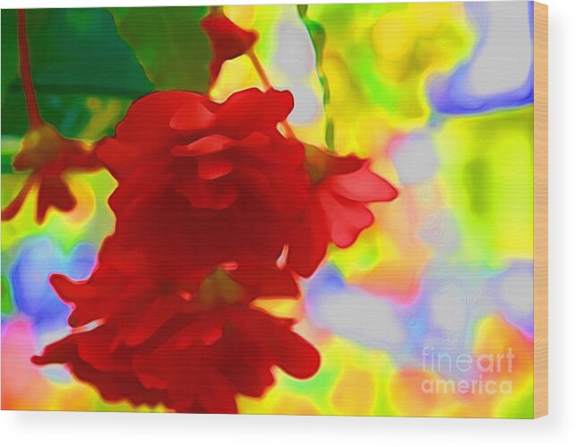 Red Flowers Wood Print featuring the photograph Garish by Julie Lueders 