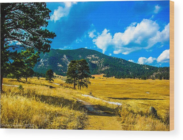 Landscapes Wood Print featuring the photograph God's Country by Shannon Harrington