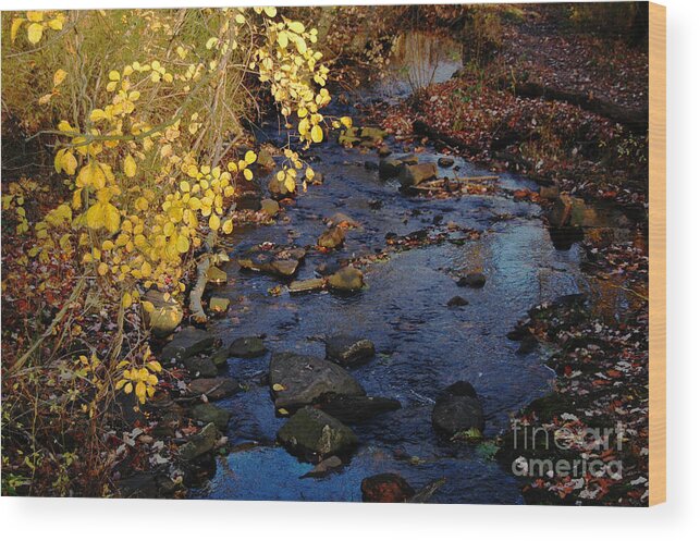 Brook River Stream Sunlight Leaves Fall Autumn Reflection Sky Rocks Wood Print featuring the photograph Gold and Blue by Vilas Malankar