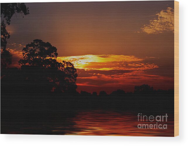 Landscape Wood Print featuring the photograph Golden Pond by Ms Judi