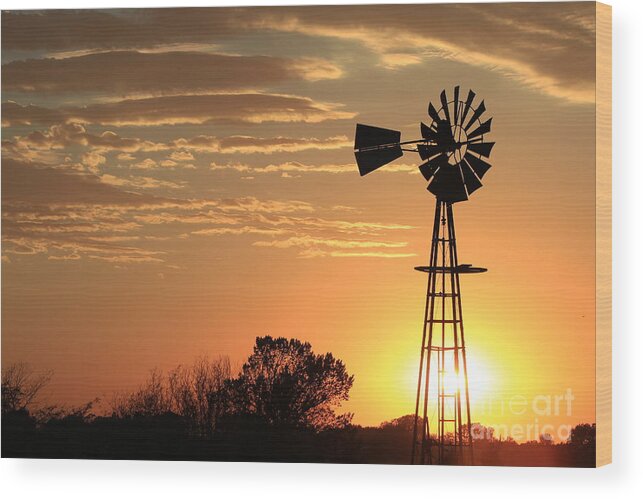 Sunset Wood Print featuring the photograph Golden Sky Windmill Sunset Silhouette by Robert D Brozek