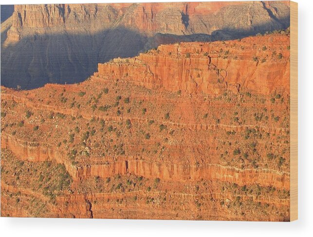 Grand Canyon Wood Print featuring the photograph Grand Canyon 54 by Will Borden