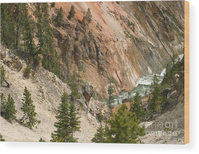 Grand Canyon Wood Print featuring the photograph Grand Canyon and Yellowstone River by Living Color Photography Lorraine Lynch
