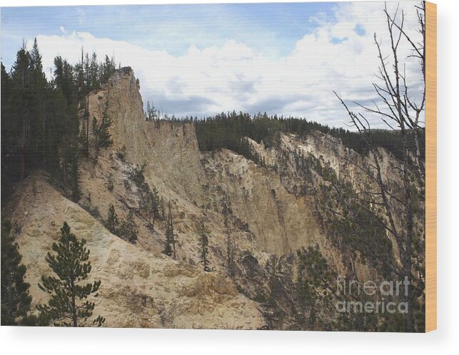 Grand Canyon Wood Print featuring the photograph Grand Canyon Cliff in Yellowstone by Living Color Photography Lorraine Lynch