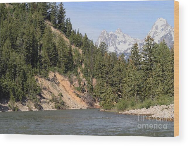 Grand Tetons Wood Print featuring the photograph Grand Tetons From Snake River by Living Color Photography Lorraine Lynch