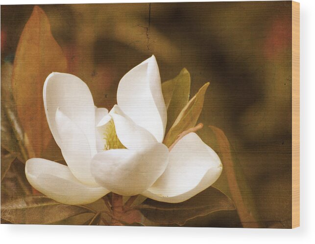 Magnolia Wood Print featuring the digital art Grandiflora by Margaret Hormann Bfa