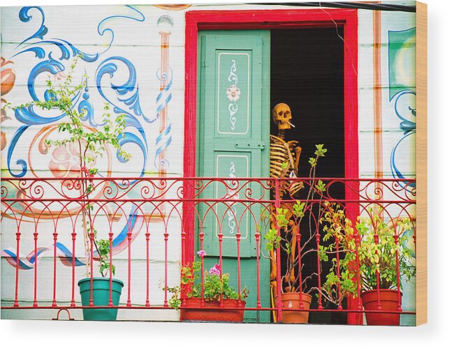 Travel Wood Print featuring the photograph Skeleton / Doorway by Claude Taylor