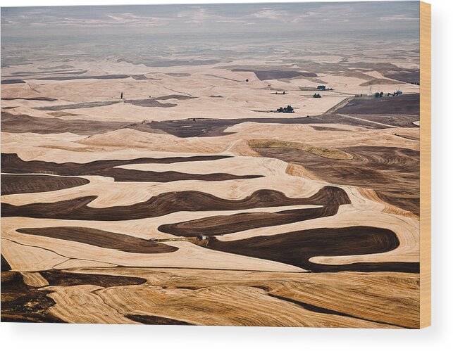 Palouse Wood Print featuring the photograph Harvest by Niels Nielsen