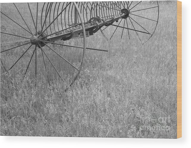 Spring Wood Print featuring the photograph Hay Rake by Wilma Birdwell