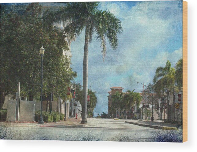 Florida Wood Print featuring the photograph Headed To Hutchinson by Trish Tritz