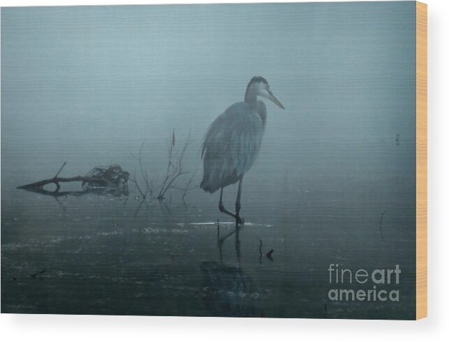 Birds Wood Print featuring the photograph Heron in Blue Mist by Deborah Smith