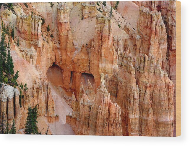 Bryce Canyon Wood Print featuring the photograph Hideaway by Vicki Pelham