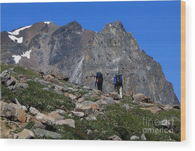 Hikers Wood Print featuring the photograph Hiking in Jasper by Vivian Christopher