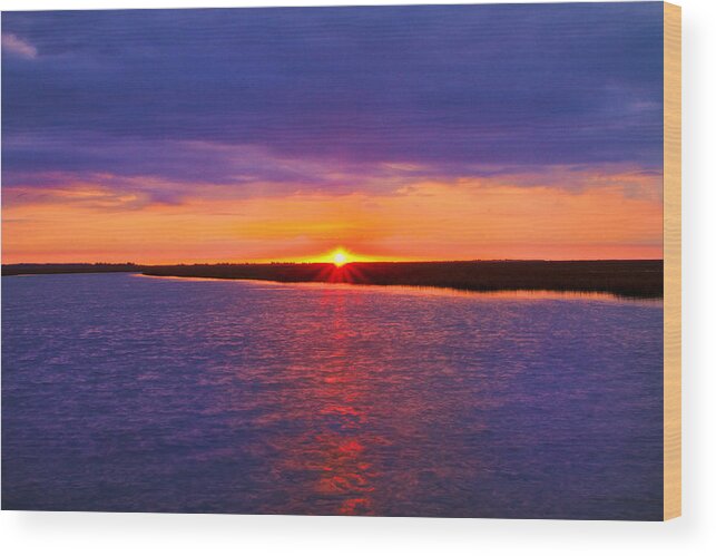 Sunrise Wood Print featuring the photograph Hobcaw Barony Sunrise by Bill Barber