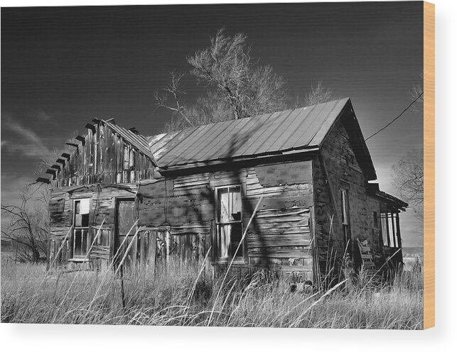House Wood Print featuring the photograph Homestead by Ron Cline