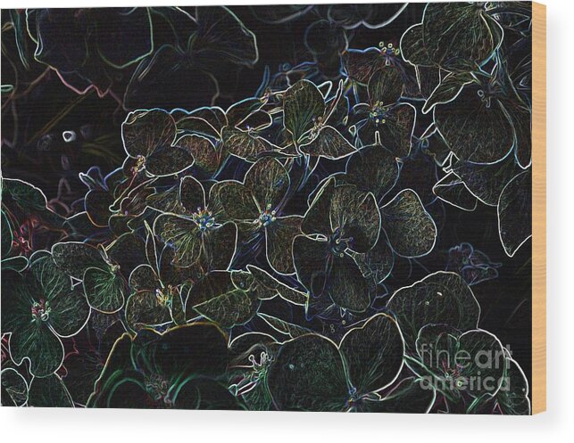 Flowers Wood Print featuring the photograph Hydrangea Glow by Karen McAfee