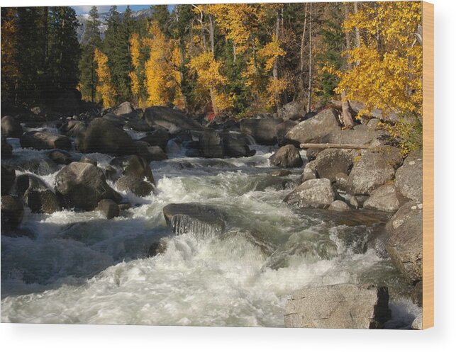 Icicle Creek Wood Print featuring the photograph Icicle Creek Beauty by Wanda Jesfield