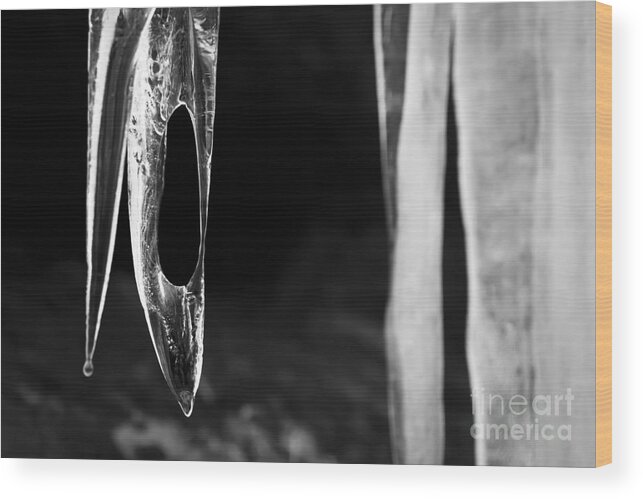 Ice Wood Print featuring the photograph Icicle by Olivier Steiner