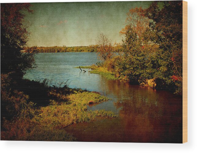 Brown Wood Print featuring the photograph Illinois River by Milena Ilieva