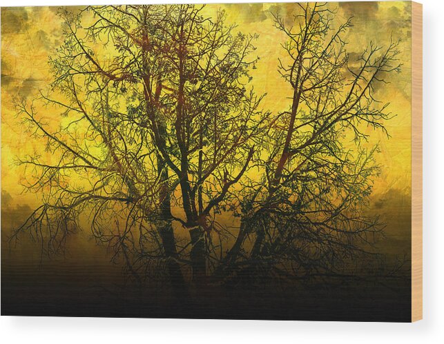 Abstract Wood Print featuring the photograph Illumination by Ellen Heaverlo