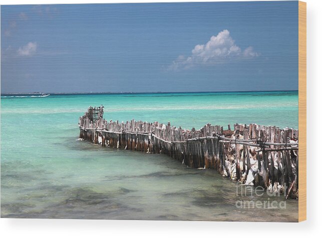 Sea Wood Print featuring the photograph Isla Mujeres by Milena Boeva