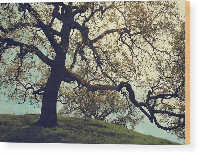 Trees Wood Print featuring the photograph I've Got Arms to Hold You by Laurie Search