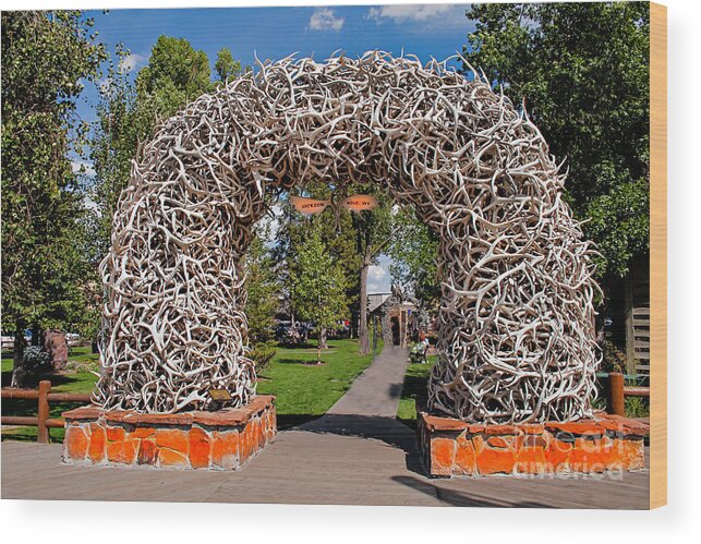 Haybales Wood Print featuring the photograph Jackson Hole by Robert Bales