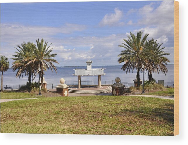 Jacksonville Florida Wood Print featuring the photograph Jacksonville Park View by Sarah McKoy