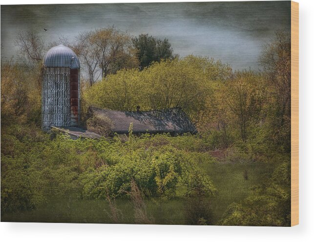 Farm Wood Print featuring the photograph Just a Memory by Robin-Lee Vieira