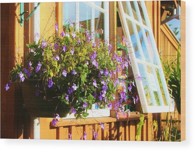Window Wood Print featuring the photograph Kathy's violet basket by Kelly Nicodemus-Miller