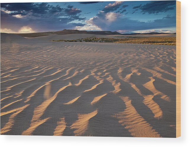 Wyomnng Wood Print featuring the photograph Killpecker Dunes at Sunset by D Robert Franz