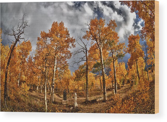 Knights Of Pythias Cemetery Wood Print featuring the photograph Knights Of Pythias Autumn by Kevin Munro