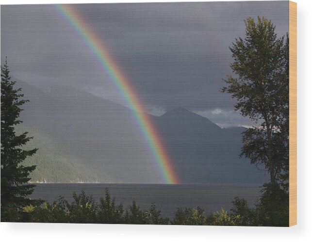 Rainbow Wood Print featuring the photograph Kootenay Rainbow by Cathie Douglas