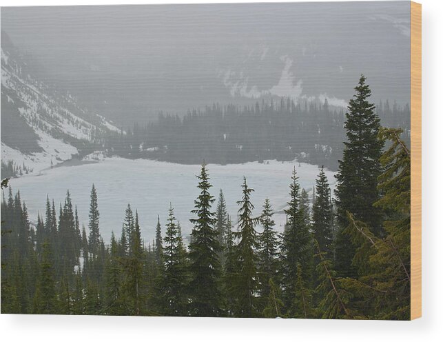 Lake Louise Wood Print featuring the photograph Lake Louise by Tikvah's Hope