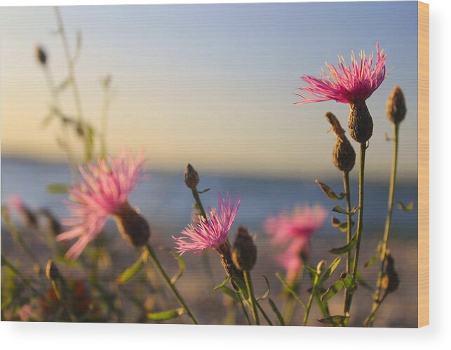 Hovind Wood Print featuring the photograph Lakeside Flowers by Scott Hovind
