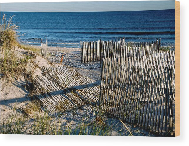  Wood Print featuring the photograph Lines On The Beach by Cathy Kovarik