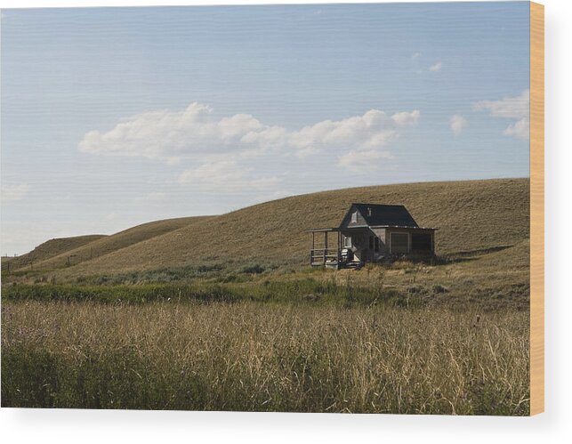Farmhouse Wood Print featuring the photograph Little House on the Plains by Lorraine Devon Wilke