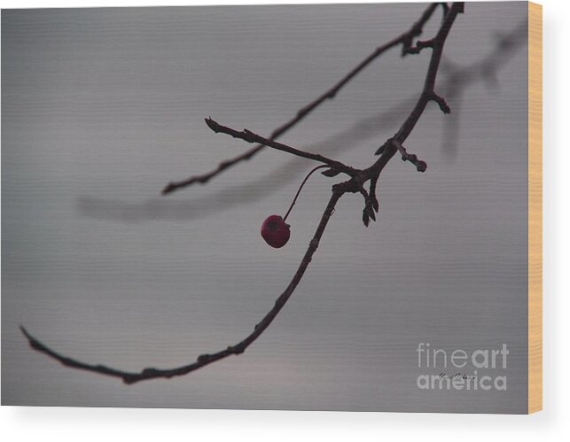 Crab Apples Wood Print featuring the photograph Lonesome Berry by Yumi Johnson