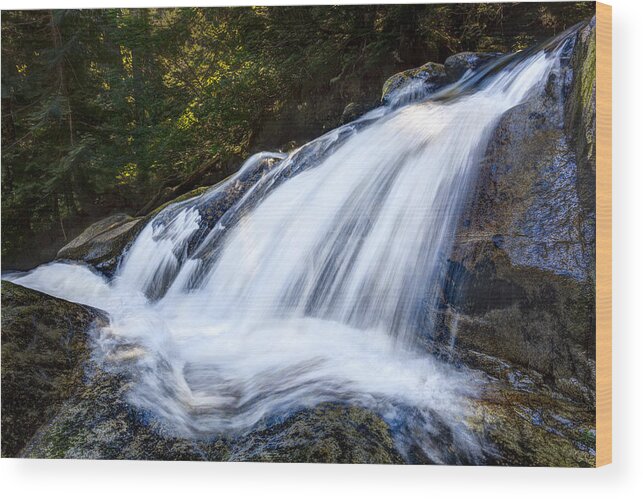 Mountains Wood Print featuring the photograph Lower Cascades of Malachite Creek by A A